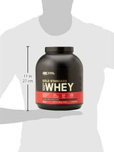 Optimum Nutrition Gold Standard 100% Protein Powder