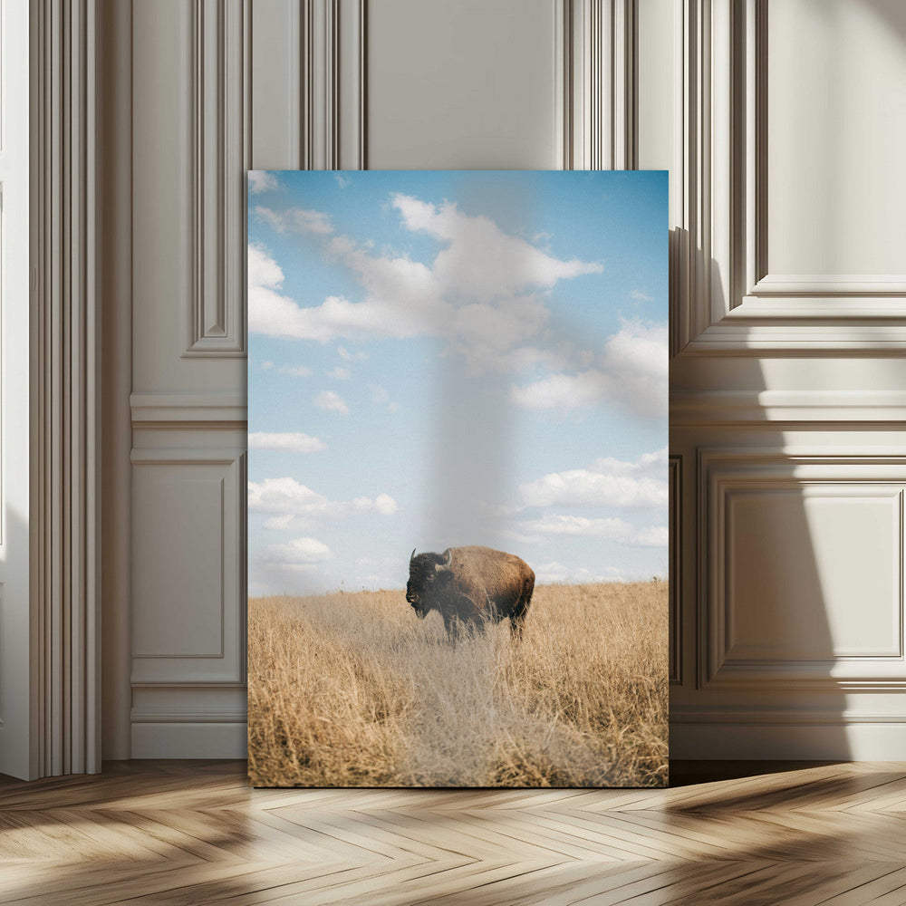 Bison Photography Wall Art Canvas Print – Framed Western
