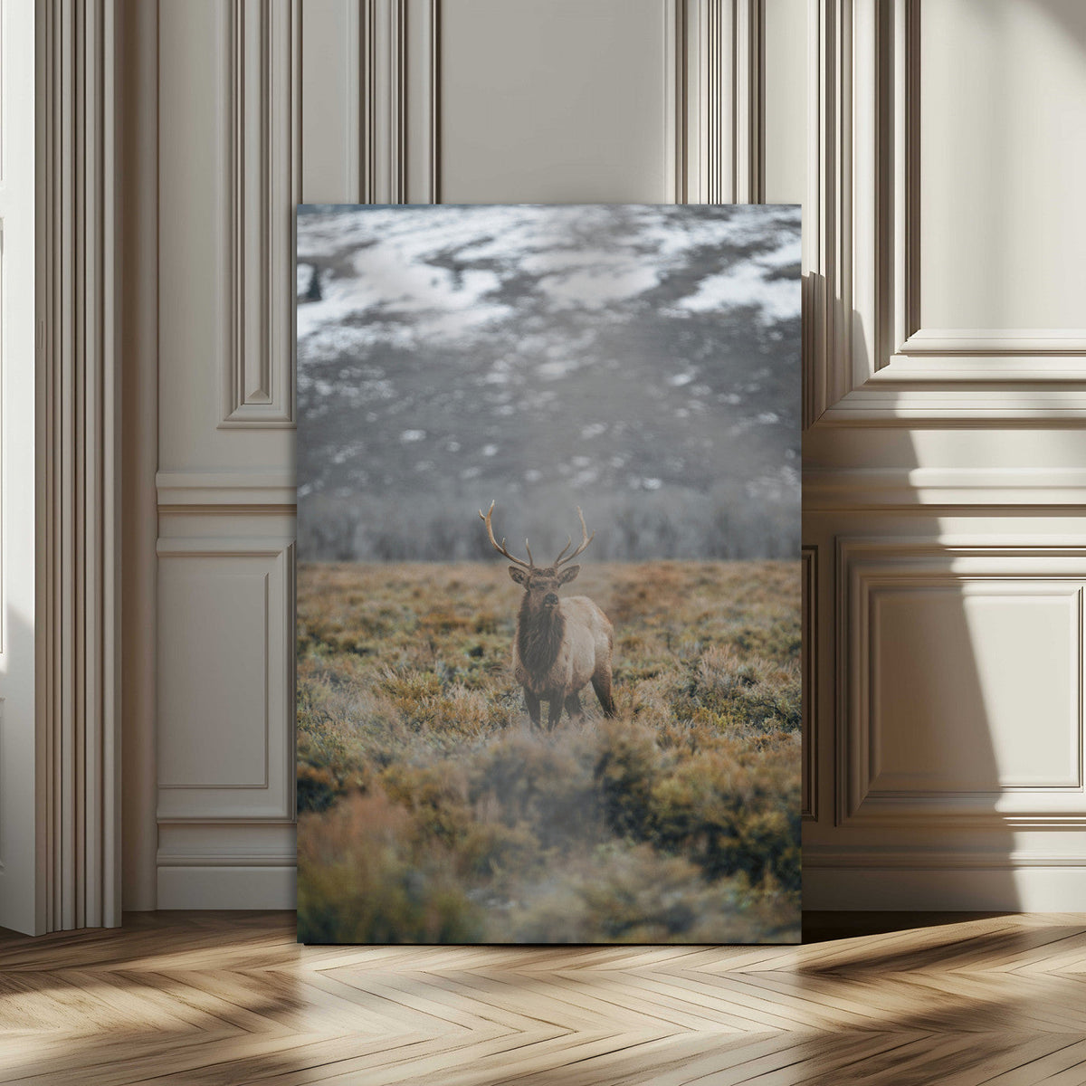 Wild Elk Wall Art Canvas Print – Framed Mountain Wilderness