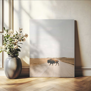 Bison Crossing Wall Art Canvas Print – Framed Western
