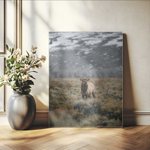 Wild Elk Wall Art Canvas Print – Framed Mountain Wilderness