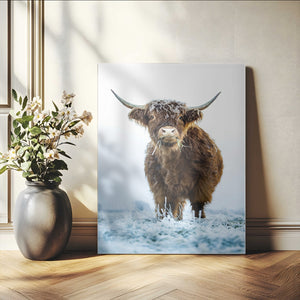 Highland Cow Wall Art Canvas Print – Framed Frosty Winter