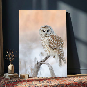 Barred Owl Wall Art Canvas Print – Soft Neutral Wildlife