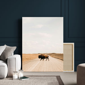 Bison Crossing Wall Art Canvas Print – Framed Western
