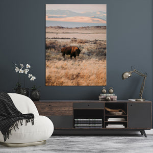 Solitary Buffalo Wall Art Canvas Print – Framed Golden