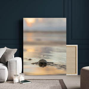 Sea Turtle Hatchling Wall Art Canvas Print – Soft Coastal