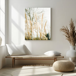 Pampas Grass Wall Art Canvas Print – Framed Neutral Tones