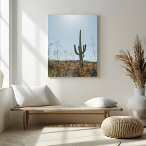 Saguaro Cactus Wall Art Canvas Print – Framed Southwestern