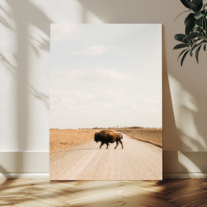 Bison Crossing Wall Art Canvas Print – Framed Western