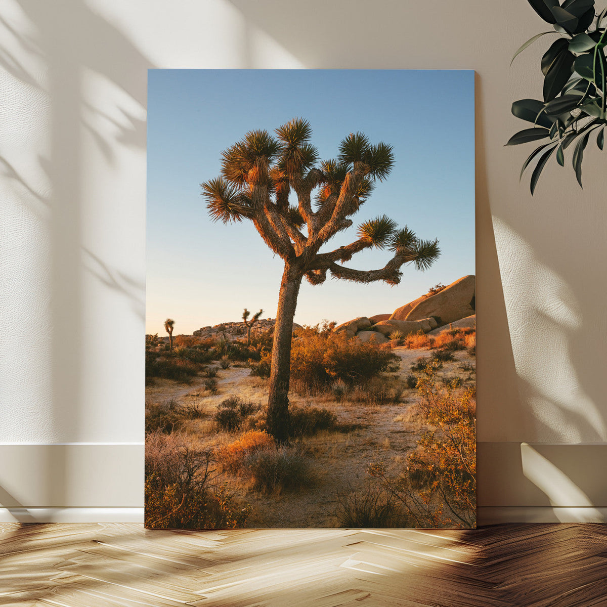Joshua Tree Wall Art Canvas Print – Framed Desert Sunset
