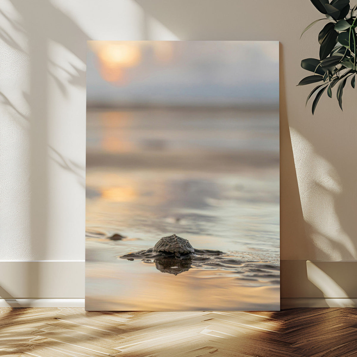 Sea Turtle Hatchling Wall Art Canvas Print – Soft Coastal