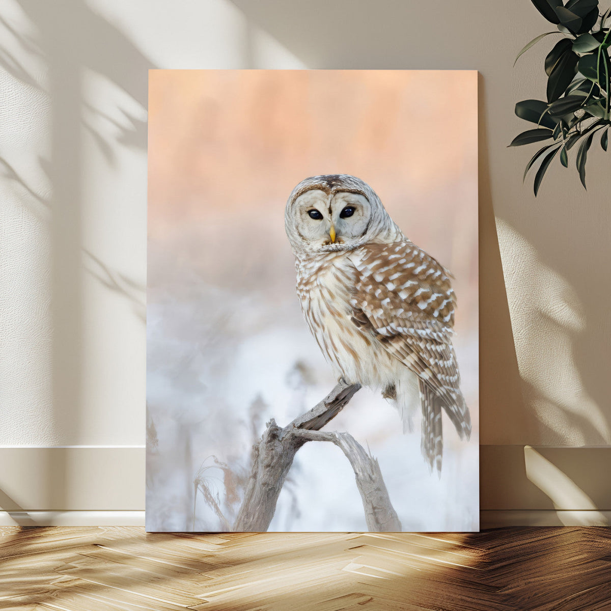 Barred Owl Wall Art Canvas Print – Soft Neutral Wildlife