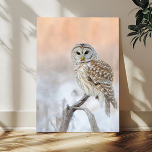 Barred Owl Wall Art Canvas Print – Soft Neutral Wildlife