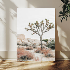 Joshua Tree Desert Wall Art Canvas Print, Minimal Southwest