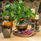 Home Fragrance Accessories