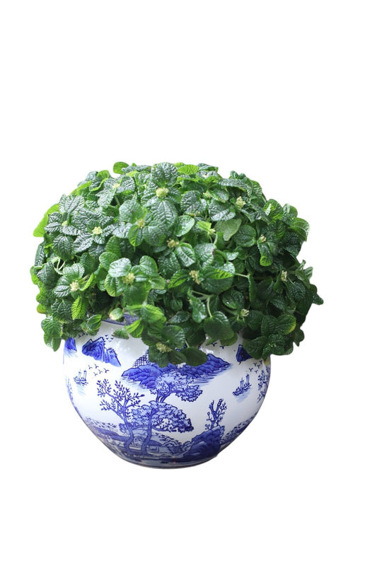 Ceramic blue & white landscape design 11-inch planter pot