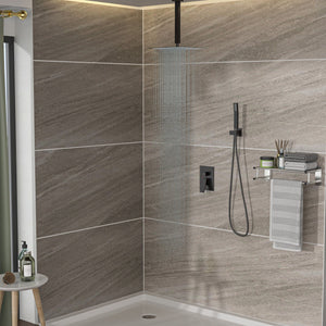 Dual Shower Head System with Ceiling Mount and Rough-In Valve - Pearl Silver, Black, or Gold