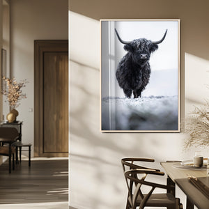 Frosty Black Highland Wall Art Canvas Print – Framed Moody