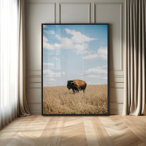 Bison Photography Wall Art Canvas Print – Framed Western