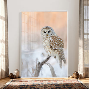 Barred Owl Wall Art Canvas Print – Soft Neutral Wildlife