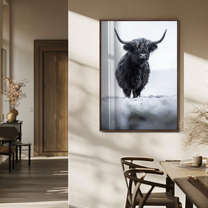 Frosty Black Highland Wall Art Canvas Print – Framed Moody