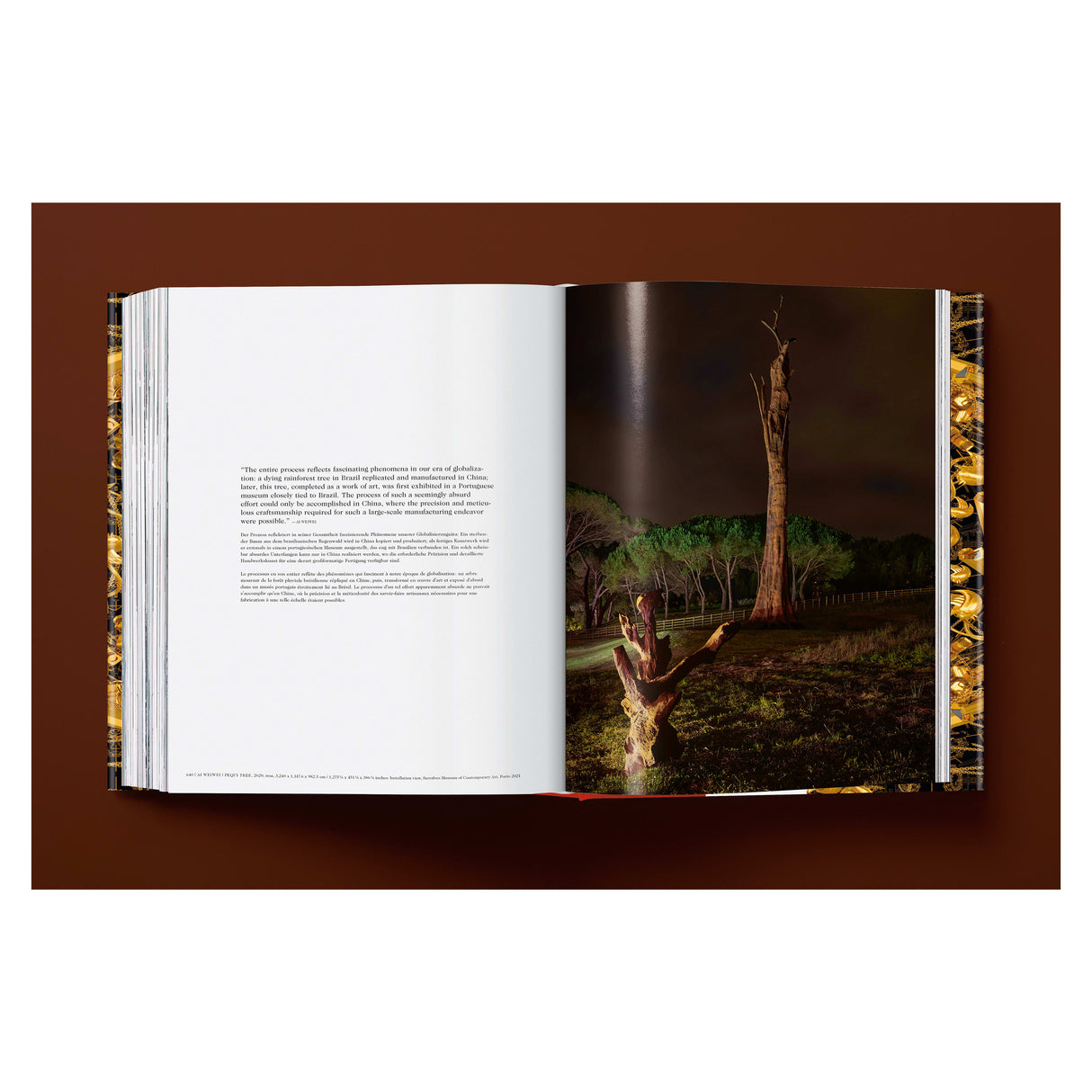 Ai Weiwei. Updated Edition (German, French, English)