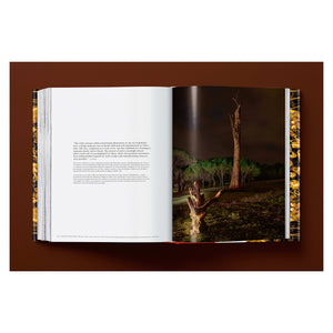 Ai Weiwei. Updated Edition (German, French, English)