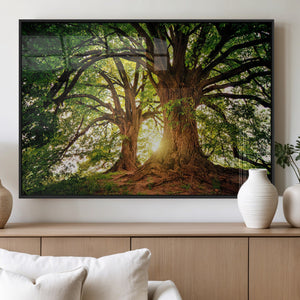 Majestic Ancient Tree Wall Art, NatureCanvas Print, Woodland