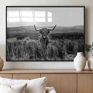 Black and White Highland Cow Canvas Wall Art, Longhorn