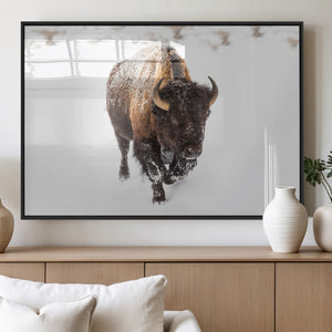 Bison Winter Wall Art Canvas Print For Farmhouse Decor