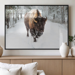 Bison Wall Art Canvas Print For Farmhouse, Animal Canvas