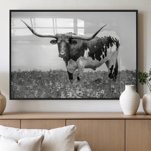 Texas Black White Highland Longhorn Cow Wall Art Canvas