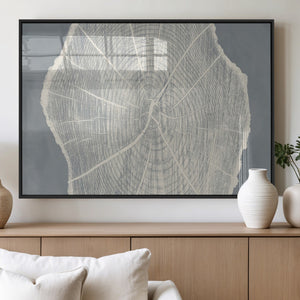 Abstract Tree Ring Wall Art Canvas Print – Nature-Inspired,
