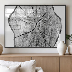 Rustic Tree Ring Wall Art Canvas Print – Framed and Ready to