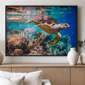 Sea Turtle Wall Art Canvas Print – Vibrant Ocean Coral Reef