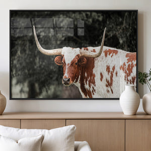 Texas Longhorn Wall Art Canvas Print – Framed Spotted Bull