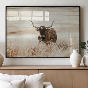 Texas Longhorn Wall Art Canvas Print – Framed Brown Horned