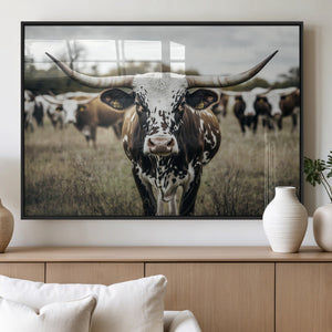 Texas Longhorn Wall Art – Framed Speckled Cow Canvas