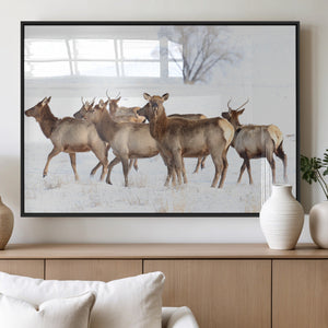 Winter Elk Scene Wall Art Canvas Print – Framed Wildlife