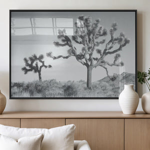 Joshua Tree Wall Art Canvas Print – Black and White Desert