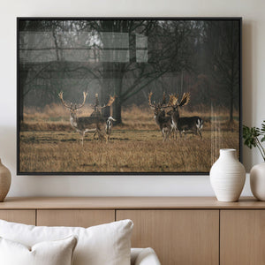 Deer Wall Art Canvas Print – Framed Rustic Wildlife Art