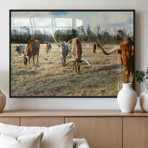 Texas Longhorns Wall Art Canvas Print – Framed Rustic Farm