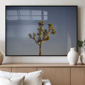 Joshua Tree Wall Art Canvas Print – Framed Southwestern