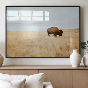 Buffalo Wall Art Canvas Print – Framed Western Wildlife
