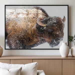 Snowy Buffalo Wall Art Canvas Print – Framed Rustic Lodge