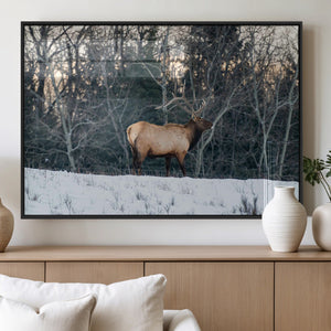 Wild Elk Wall Art Canvas Print – Framed Winter Wildlife