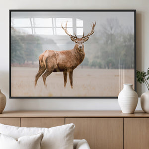 Vintage Wildlife Wall Art Canvas Print – Misty Landscape