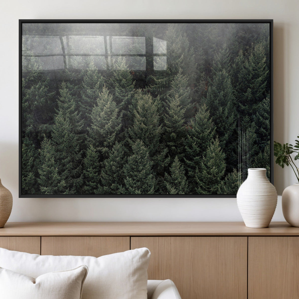 Dense Evergreen Forest Misty Morning Fog Pine Trees Woodland