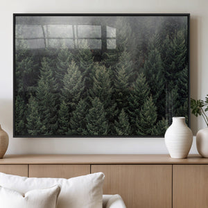 Dense Evergreen Forest Misty Morning Fog Pine Trees Woodland