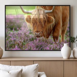 Highland Cow Wall Art Canvas Print – Framed Purple Flowers
